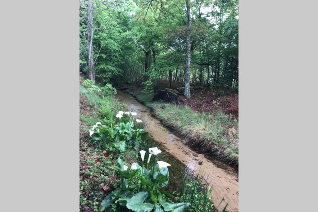 Spa Et Detente Au Coeur De La Foret Des Landes - 3 Etoiles Villa Luglon Dış mekan fotoğraf