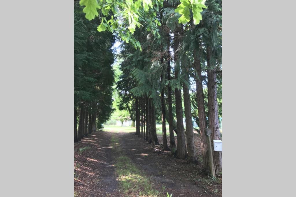 Spa Et Detente Au Coeur De La Foret Des Landes - 3 Etoiles Villa Luglon Dış mekan fotoğraf