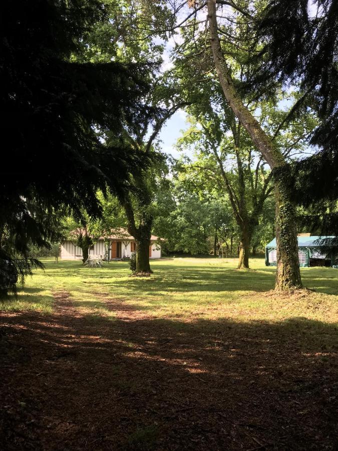 Spa Et Detente Au Coeur De La Foret Des Landes - 3 Etoiles Villa Luglon Dış mekan fotoğraf